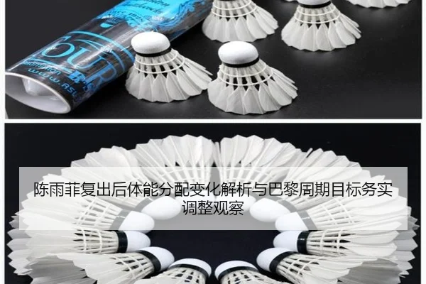 陈雨菲复出后体能分配变化解析与巴黎周期目标务实调整观察